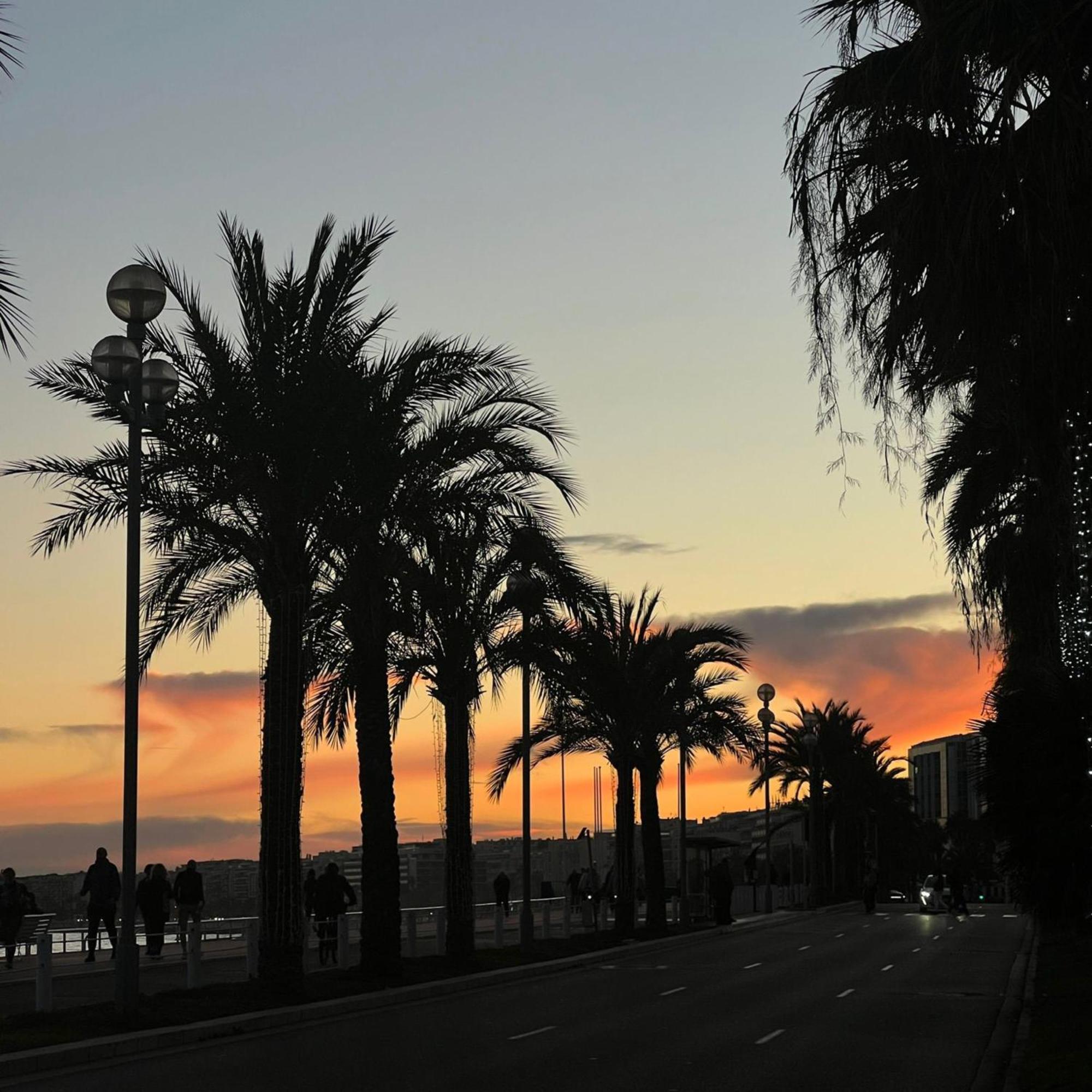 Cozy Near Promenade Appartamento *